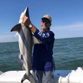 Galveston Bay Shark Special