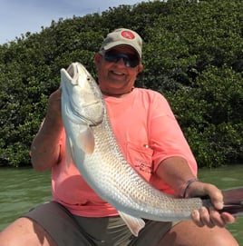 Redfish Fishing in Islamorada, Florida