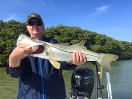 Snook Fishing in Islamorada, Florida