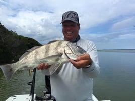 Black Drum Fishing in Islamorada, Florida