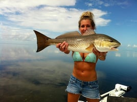 Redfish Fishing in Islamorada, Florida