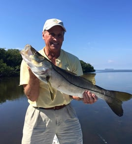 Snook Fishing in Islamorada, Florida