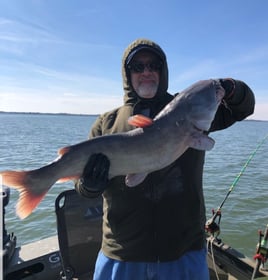 Lake Ray Hubbard Catfish Trip