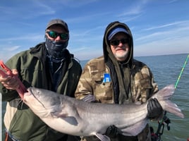 Lake Ray Hubbard Catfish Trip