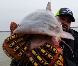 Lake Ray Hubbard Catfish Trip