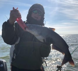 Lake Ray Hubbard Catfish Trip