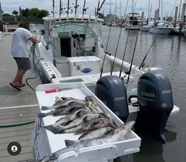 Port O'Connor Gigging