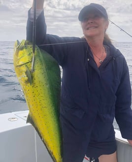 Full Day Mahi Mahi Trip