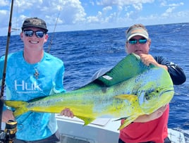 Full Day Mahi Mahi Trip