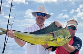 Full Day Mahi Mahi Trip