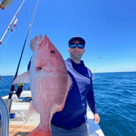 Red Snapper Fishing in Pensacola, Florida