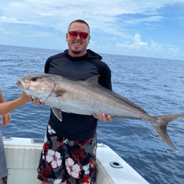 Giant Amberjack Trip