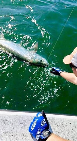 Tarpon Fishing in Placida, Florida