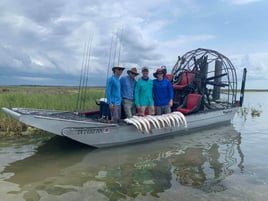 Full Day Airboat Adventure