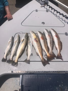 Rockport Roundup Fishing Trip