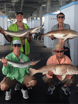 Nearshore Reds, Sharks, and Cobia