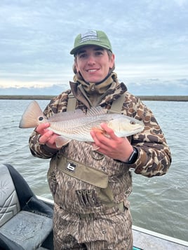 Rockport Reds on the Flats