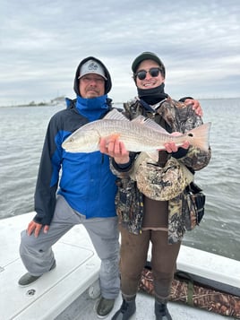 Rockport Reds on the Flats