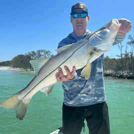 Coastal Chaos in Clearwater