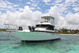 Deep Sea Punta Cana - 42' Sportfish