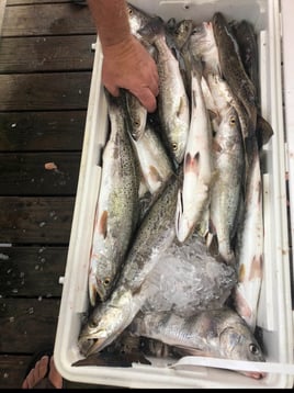 Speckled Trout Fishing in Rockport, Texas