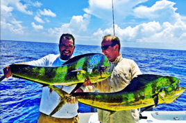 Mahi Mahi Fishing in Key Largo, Florida