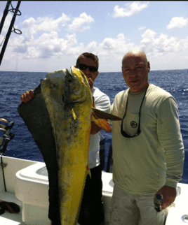 Mahi Mahi Fishing in Key Largo, Florida