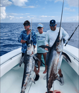 Full Day Trip – Swordfish