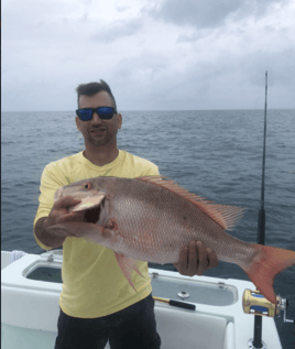 Mutton Snapper Fishing in Key Largo, Florida