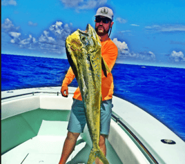 Mahi Mahi Fishing in Key Largo, Florida