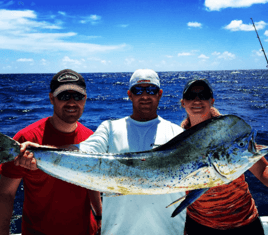 Mahi Mahi Fishing in Key Largo, Florida