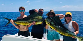 Mahi Mahi Fishing in Key Largo, Florida