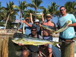 Mahi Mahi Fishing in Key Largo, Florida