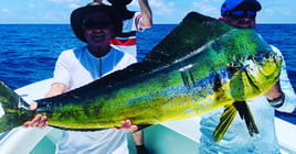 Mahi Mahi Fishing in Key Largo, Florida