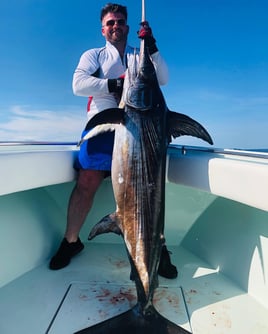 Full Day Trip – Swordfish