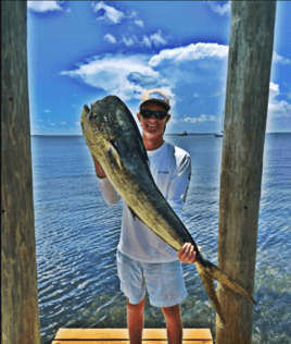 Mahi Mahi Fishing in Key Largo, Florida