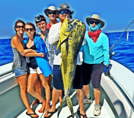 Mahi Mahi Fishing in Key Largo, Florida