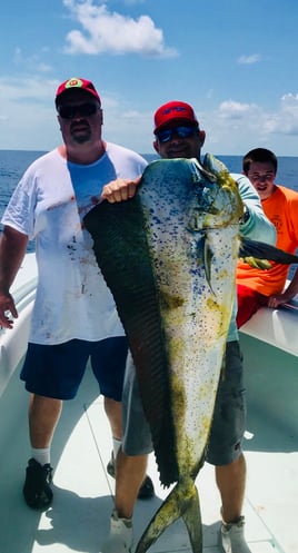 Mahi Mahi Fishing in Key Largo, Florida