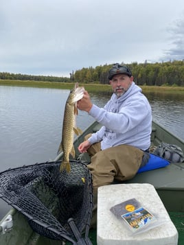 Pike in the Alaska Wilderness