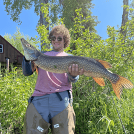 Pike in the Alaska Wilderness