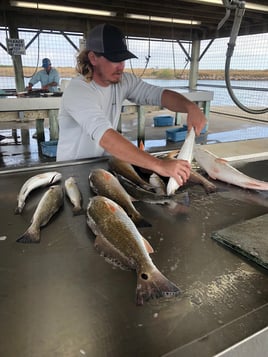 Fishing trips out of Palacios TX