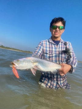 Fishing trips out of Palacios TX