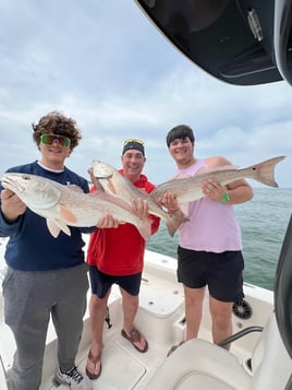 Redfish Fishing in Panama City, Florida