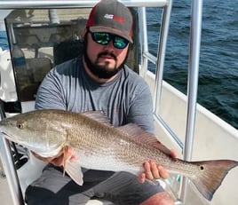 Redfish Fishing in Panama City, Florida