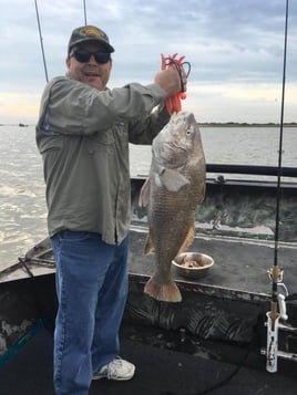 Black Drum Fishing in Rockport, Texas