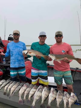 Black Drum, Redfish Fishing in Rockport, Texas