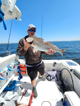 Redfish Fishing in Pensacola, Florida