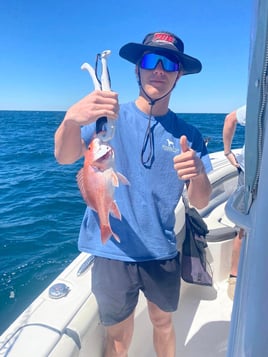 Red Snapper Fishing in Pensacola, Florida