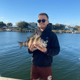 Sheepshead Fishing in Pensacola, Florida