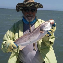 Redfish Fishing in South Padre Island, Texas